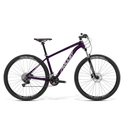 AMULET-29 Night cat 2.0 SR, royal purple/white Fialová 29" S 2024